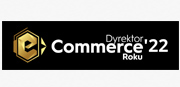logo_ecommerce_dyrektor